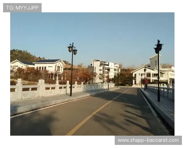 以诺雨游戏手柄为核心的APP名称及其功能详解